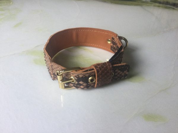 Honden halsband taupe kleurig met gouden accenten