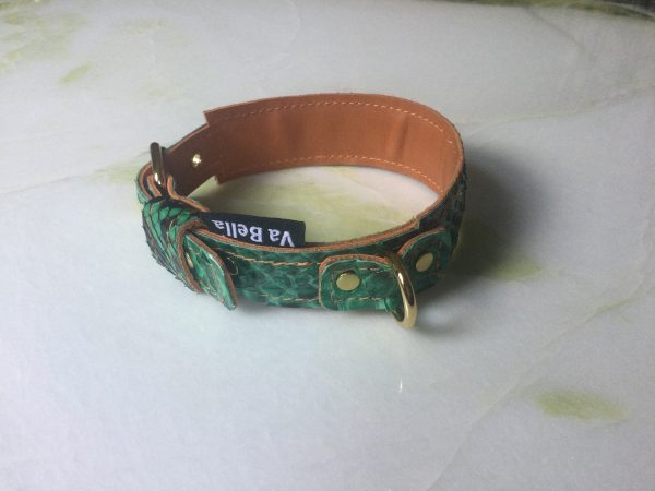Honden halsband groen met goud accenten